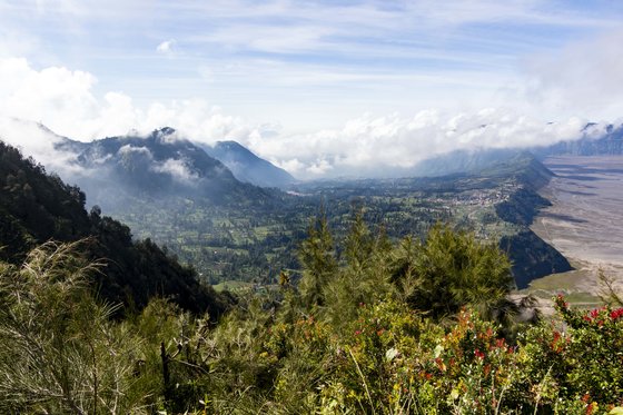 Probolinggo
