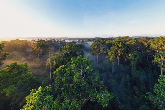 Borneo