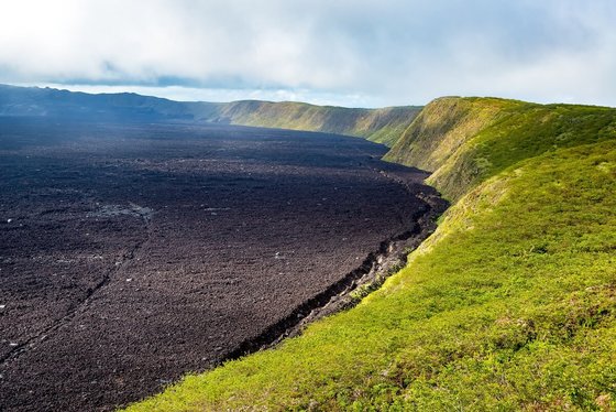 Sierra Negra Caldera