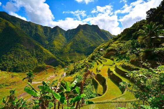Luzon