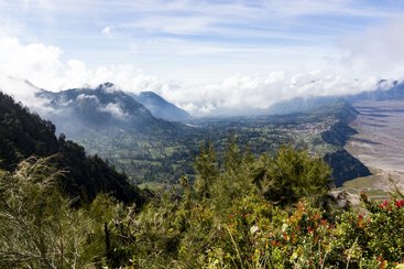 Probolinggo