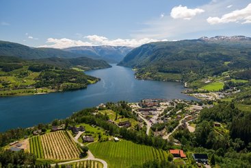 Ulvik