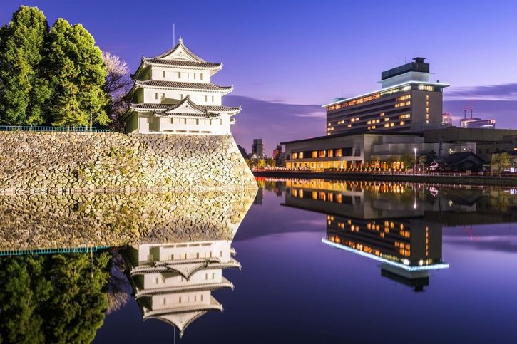 Nagoya - Nagoyský hrad