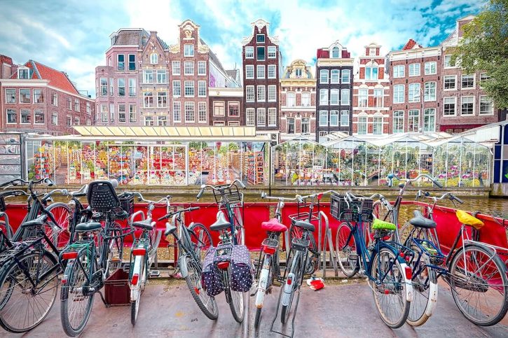 Ijmuiden(Amsterdam) - Květinový trh 
