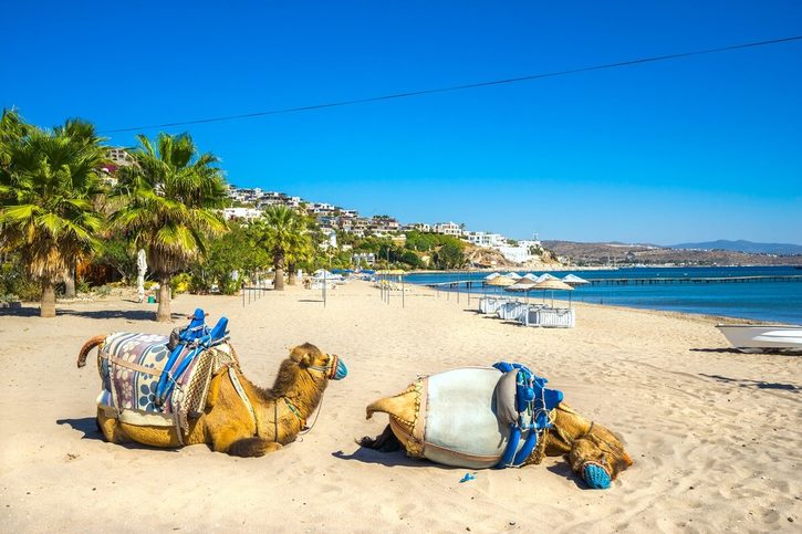 Bodrum - Pláž Camel v Bitezu