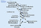 Barbados, Svatý Vincenc a Grenadiny, Grenada, Martinik, Guadeloupe, Svatý Martin, Antigua a Barbuda, Svatý Kryštof a Nevis, Dominika, Svatá Lucie z Bridgetownu na lodi MSC Meraviglia