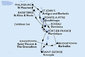 Barbados, Svatý Vincenc a Grenadiny, Grenada, Martinik, Guadeloupe, Antigua a Barbuda, Svatý Martin, Svatý Kryštof a Nevis, Dominika z Bridgetownu na lodi MSC Meraviglia