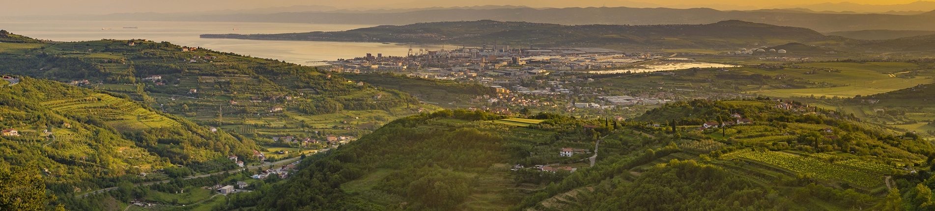 Koper