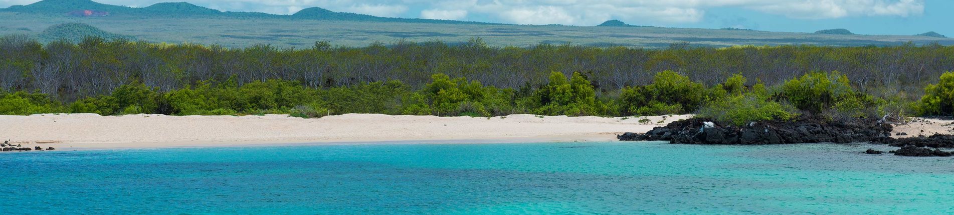North Seymour Island 