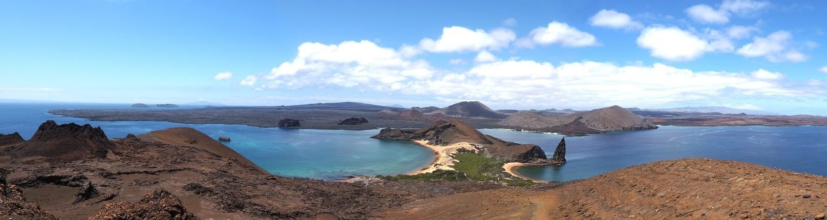 Darwin Bay