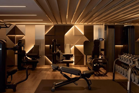 Fitness - Explora VI